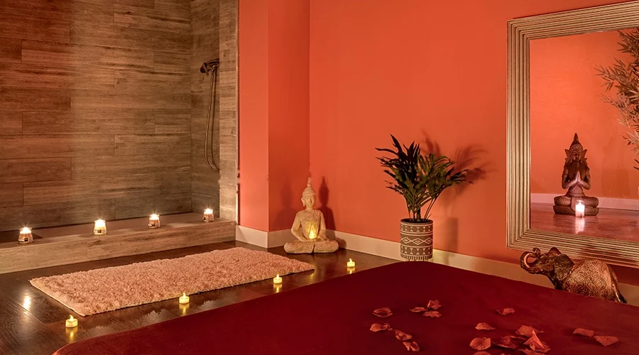 Terracotta Room with tatami and integrated shower